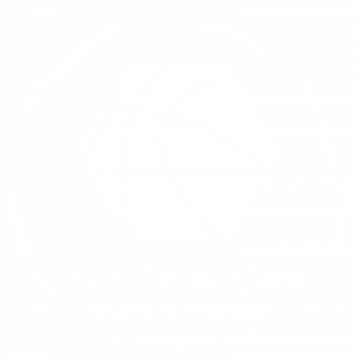 Logo Park Of Hoops